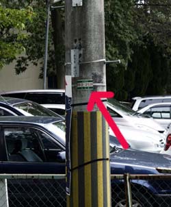 （写真）街路灯の識別番号は電柱に取り付けてあるプレートで確認