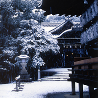 向日神社の冬の様子