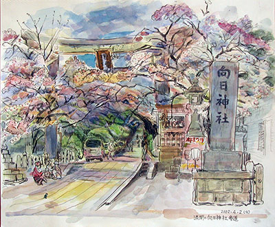 （絵画）満開の向日神社参道