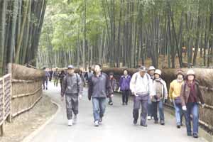 （写真）竹の径を散策する参加者