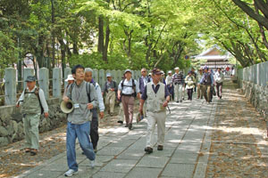 （写真）向日神社の参道を歩く参加者