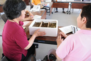 （写真）講習会で堆肥の見本を観察する参加者たち