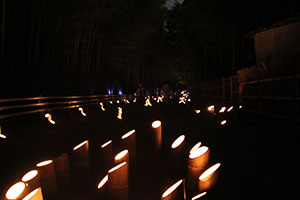 （写真）竹行灯で照らされる竹の径