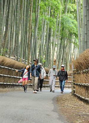 （写真）竹の径を気持ちよさそうに歩く参加者