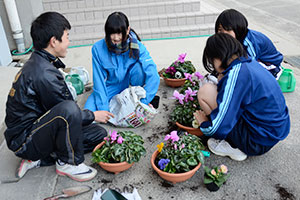 （写真）桂高校の生徒から寄せ植えの指導を受ける勝山中の生徒