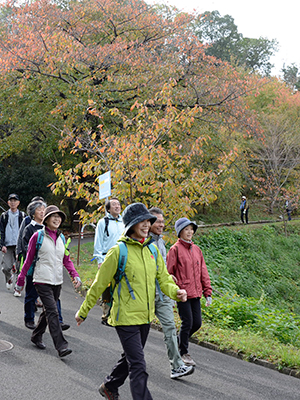 （写真）秋の風景を楽しみながら歩く参加者