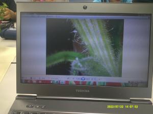 ミクロの世界を見てみよう