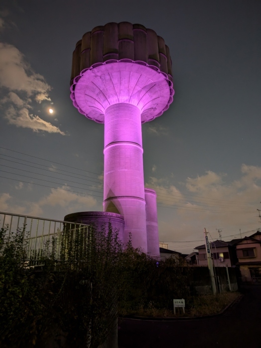 令和6年11月12日パープルライトアップ点灯の様子