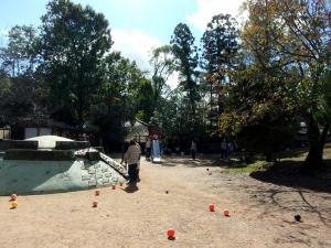 勝山公園様子