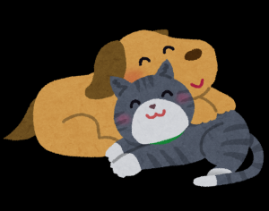 犬猫