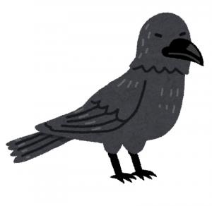 カラス3