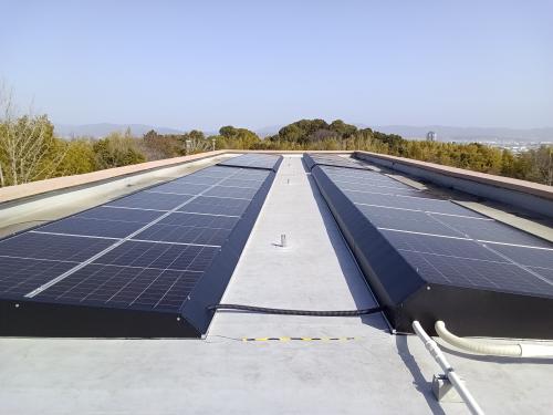 第6向陽小学校の写真